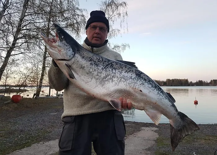 别墅 Village Anttoora - Anttooran Lomakylae 波里